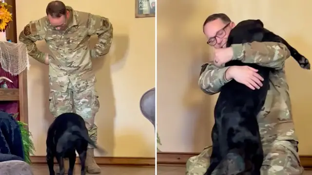 Video thumbnail for Dog That Lost Sight While Military Dad Was On Deployment Lights Up When He Returns Home