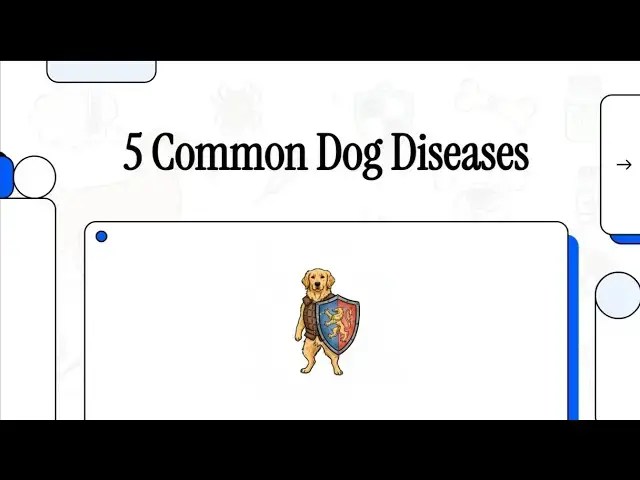 Video thumbnail for 5 Most Common Dog Diseases: How to Protect Your Dog from Them?