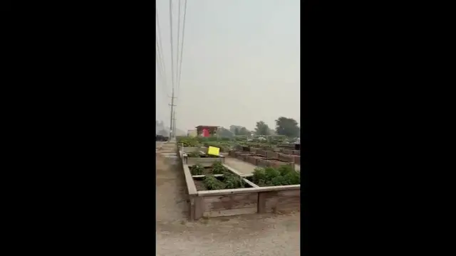 Video thumbnail for Canada Wildfires: Keremeos, BC Surrounded By Wildfires.