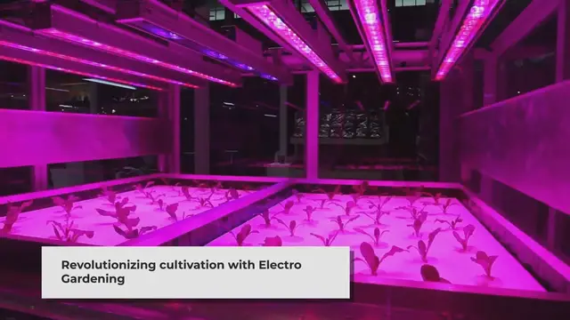 Video thumbnail for Electro Gardening: Revolutionizing the Way We Grow Plants