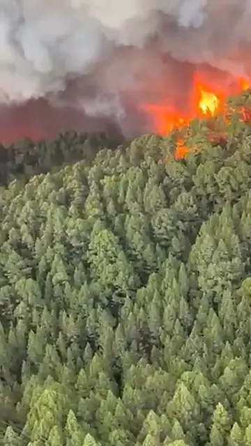 Video thumbnail for Waldbrand Teneriffa 2023 - IFArafaCandelaria Video-2