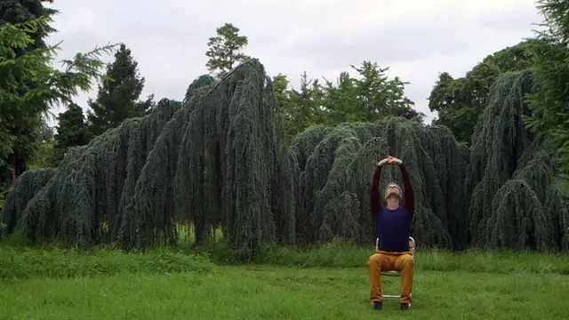 'Video thumbnail for Chair Yoga - Seated forward bend'