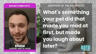 Video thumbnail for Elisha can't keep his cat off his table. Down!