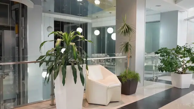 Video thumbnail for Gardening for Small Apartments