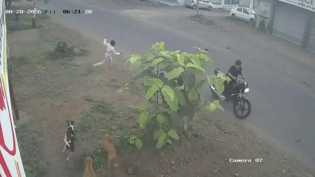 Video thumbnail for India: Pack of stray dogs attacks young child, residents raise concerns over child safety across city.