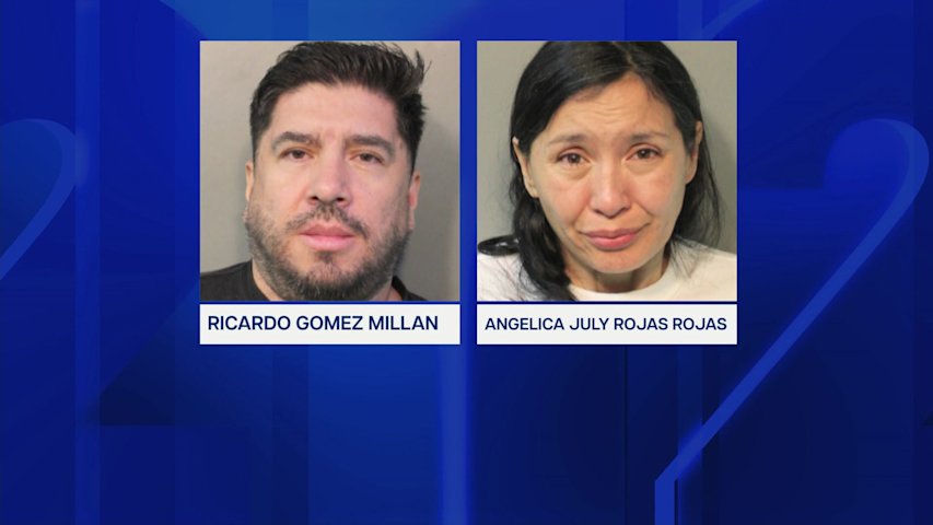 Video thumbnail for Two accused of stealing handbags, alcohol and cash in Great Neck home burglary