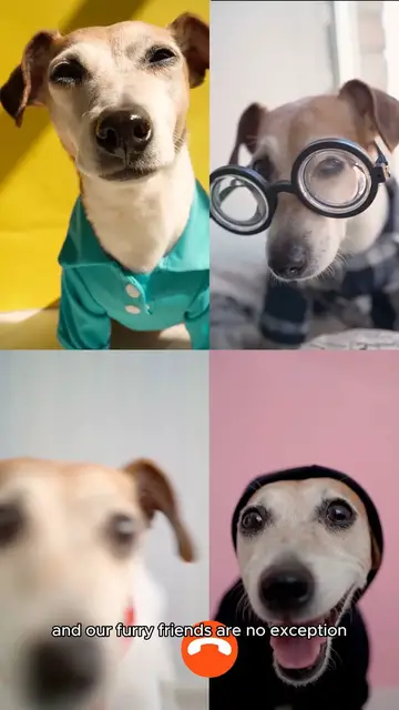 'Video thumbnail for Canine Cuties: 5 Most Instagrammable Dog Breeds'
