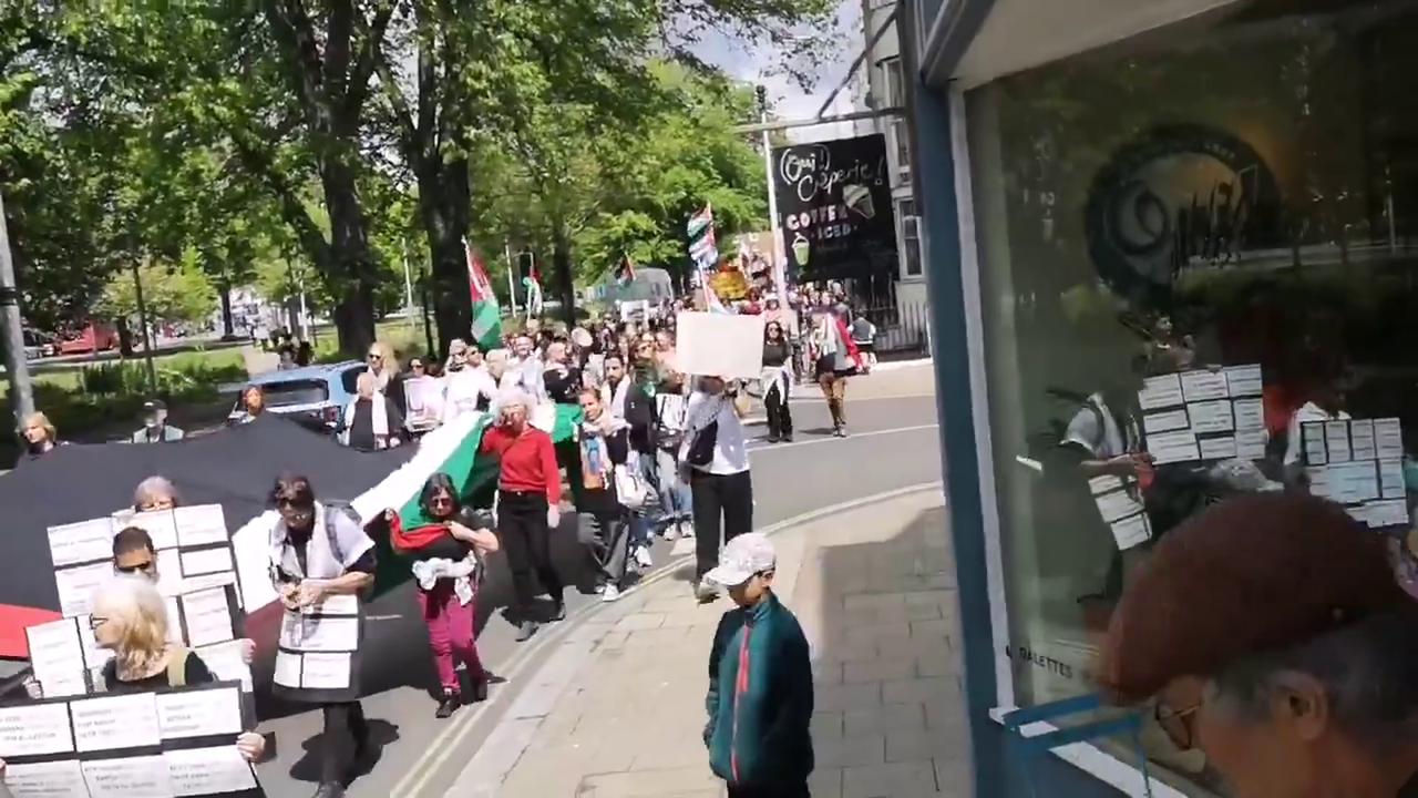 Video thumbnail for UK: Demonstrators Rally in Brighton in Support of Palestinians.