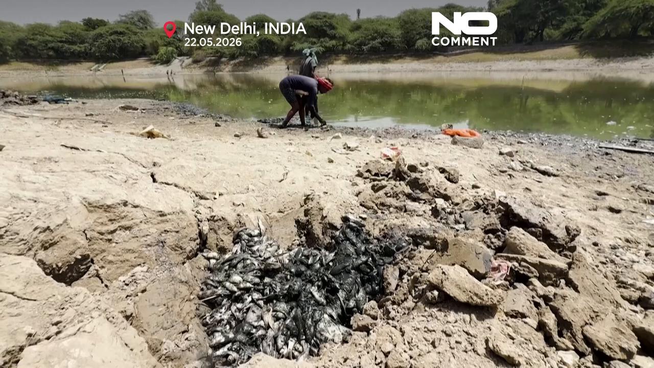 Video thumbnail for India faces extreme heat as dead fish wash up in New Delhi