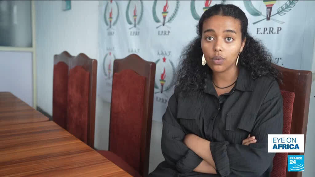 Video thumbnail for Threats and control: Ethiopia opposition raises alarm ahead of elections
