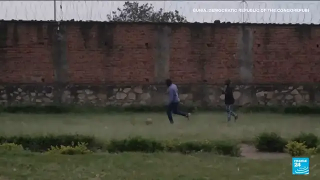 Video thumbnail for Ex-child soldiers rehabilitated in the Democratic Republic of Congo