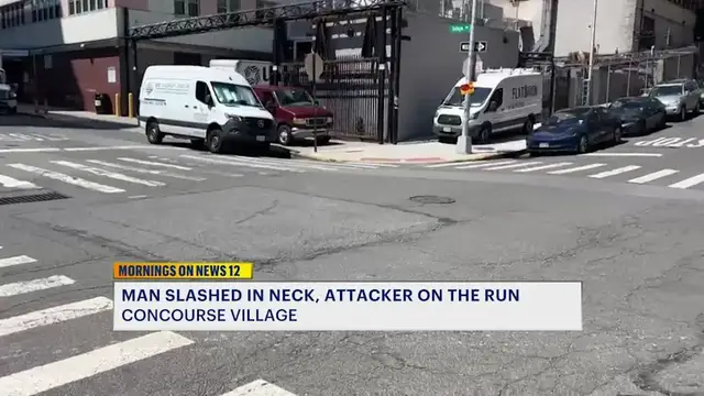 Video thumbnail for Man slashed in neck near Mount Eden hospital