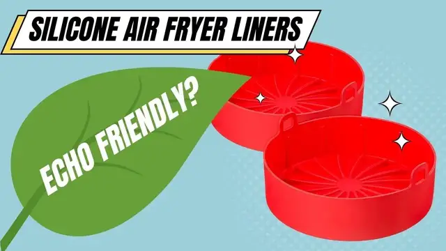 Video thumbnail for Silicone Air Fryer Liners - SERIOUSLY An Echo Friendly Way To Cook?