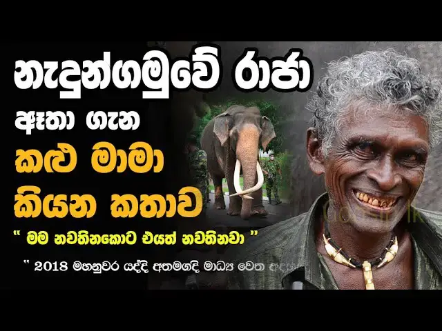 Video thumbnail for The story told by the black uncle about the king of Nedungamuwe