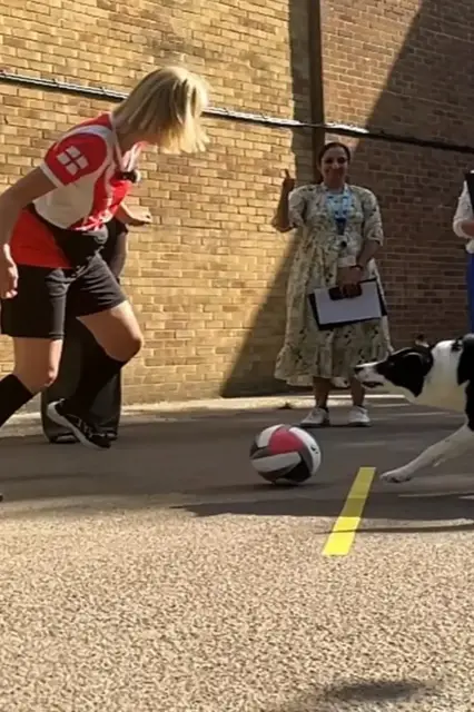 Video thumbnail for Most soccer goals scored by a dog in one minute - 12 by Olga Jones and Simba