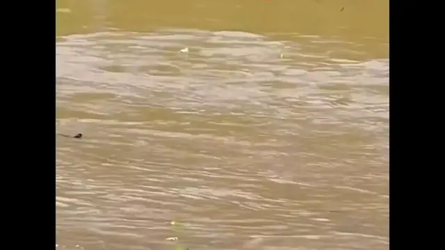 Video thumbnail for China: Chinese man leaps into river to rescue child in dangerous current.