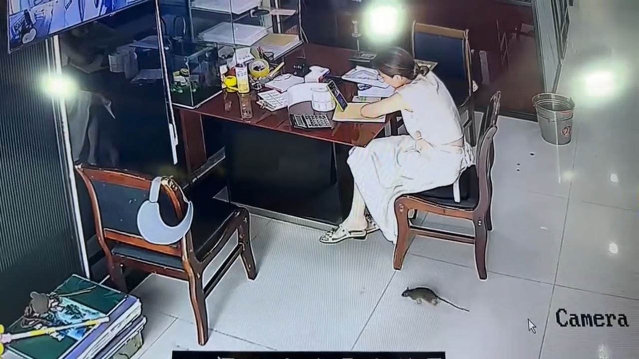 Video thumbnail for Woman Freaks Out as Rat Climbs Her Foot in China
