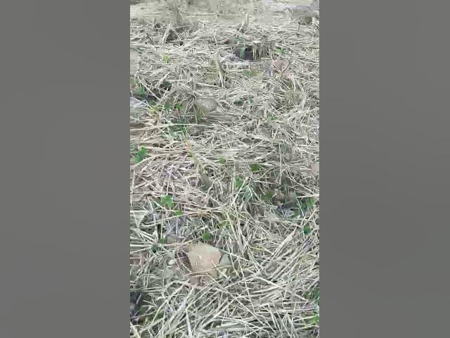 Video thumbnail for October 29, 2025