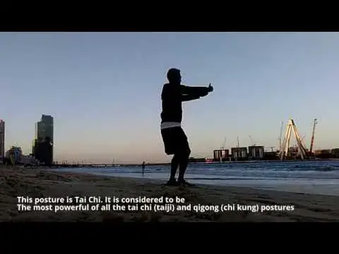 Video thumbnail for Stand Like a Tree – Qigong (Chi Kung)