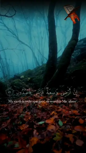 'Video thumbnail for Ya Ibadi Allazina Amanu | Surah ul Ankaboot'
