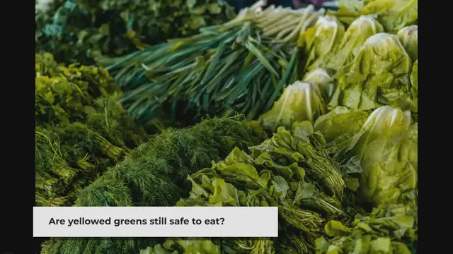 'Video thumbnail for Can You Eat Greens That Have Turned Yellow?'