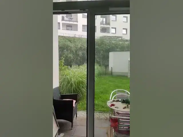 Video thumbnail for Let's go out 🌧️ Mia 🐶?