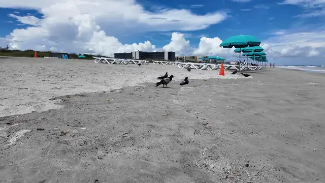 Video thumbnail for US: Sunny day in Cocoa Beach, Florida.