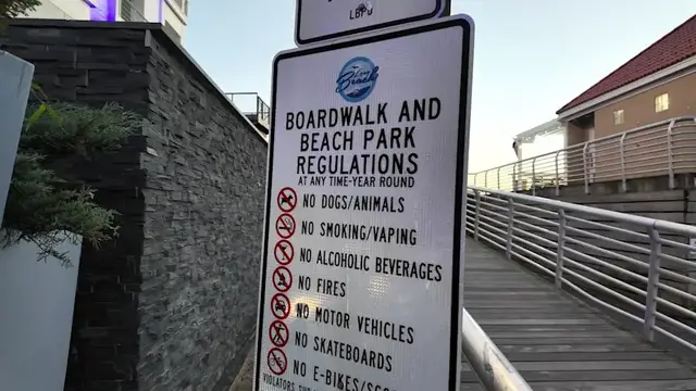 Video thumbnail for Long Beach considers pilot program to allow dogs on the beach