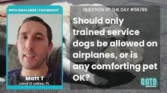 Video thumbnail for Matt says we should expand the definition of a service animal. Just a little!