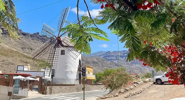 'Video thumbnail for Molino Quemada in Mogán'