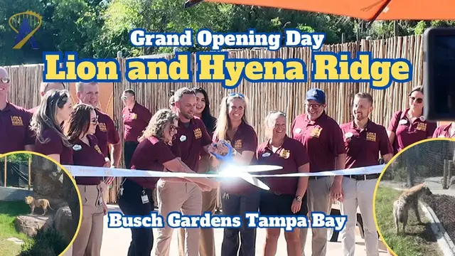 Video thumbnail for Lion and Hyena Ridge Ribbon Cutting and In-Depth Tour, Busch Gardens Tampa Bay