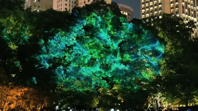 Video thumbnail for China: Shanghai International Light Festival 4.