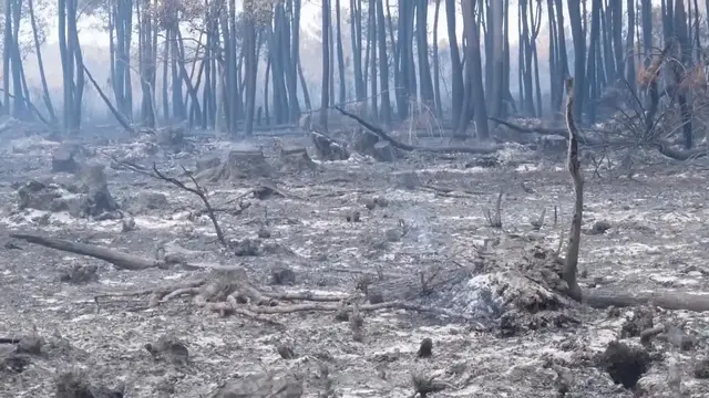 Video thumbnail for France: French PM says wildfires “under control”.