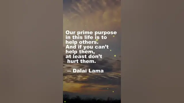 Video thumbnail for Our purpose in Life! #shorts #zenquotes