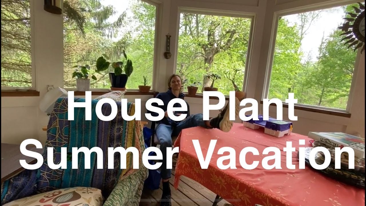 Video thumbnail for House Plant Summer Vacation