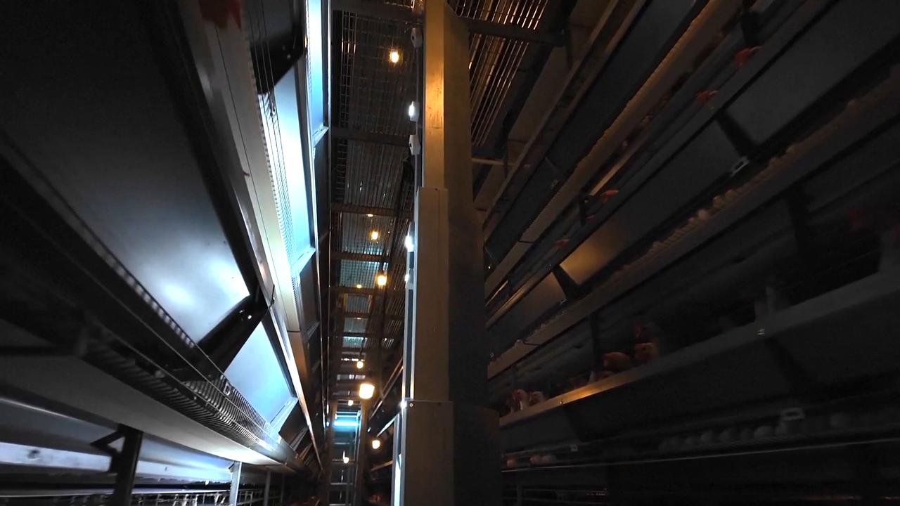 Video thumbnail for China: Chick it out: intelligent inspection robots help speed up work at rural chicken farms.