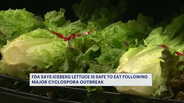 Video thumbnail for FDA says iceberg lettuce safe to eat following Cyclospora outbreak