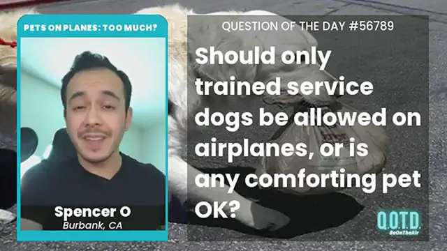 Video thumbnail for Spencer says any service animal can come on planes. As long as they don't disturb!