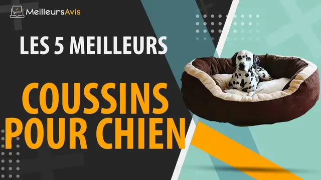 Video thumbnail for ⭐️ MEILLEUR COUSSIN POUR CHIEN - Avis & Guide d'achat (Comparatif 2021)