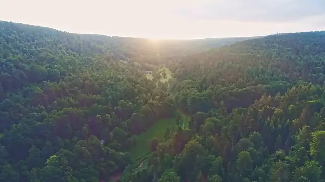 Video thumbnail for Mountains,   Forest ,  Beach