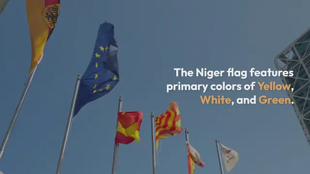 Video thumbnail for Niger Flag Colors