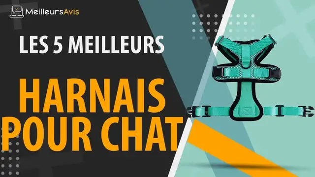 Video thumbnail for ⭐️ MEILEUR HARNAIS POUR CHAT - Avis & Guide d'achat (Comparatif 2021)