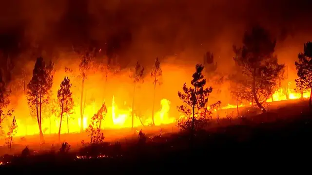 'Video thumbnail for Worst wildfire season in decades burns over 340,000 hectares in Spain'