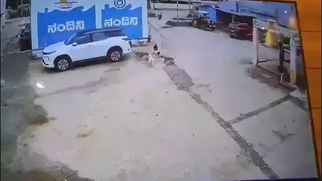 Video thumbnail for India: Six-year-old boy attacked by stray dogs, dragged along road during frightening assault.