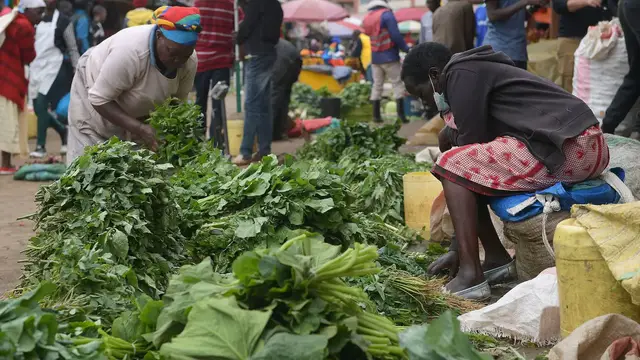 'Video thumbnail for Kenya promotes indigenous greens as healthier food option, replacing colonial veggies'