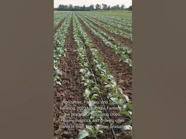 'Video thumbnail for What is Agriculture Farming and Types of farming in 2023'