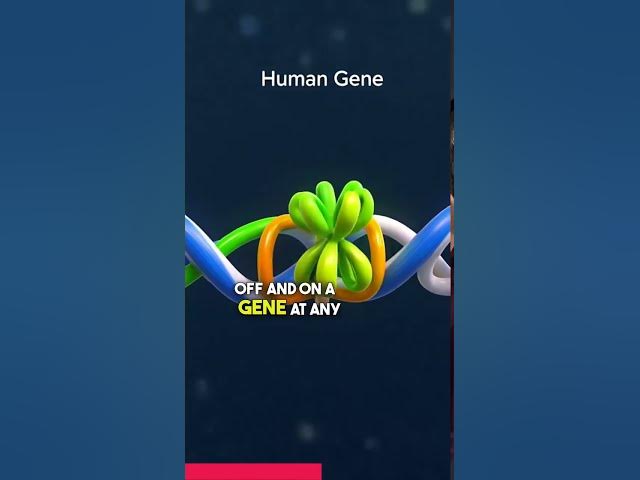 Video thumbnail for Your Genes Are Not Destiny