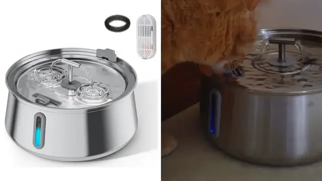Video thumbnail for iPettie Rotunda Cat Water Fountain Stainless Steel Review