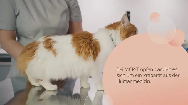 Video thumbnail for MCP-Tropfen für Hunde: Dosierung, Nebenwirkungen & Erfahrung
