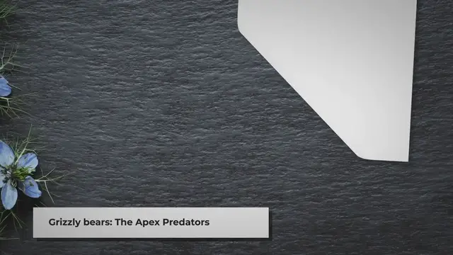 Video thumbnail for Are Grizzly Bears Apex Predators?